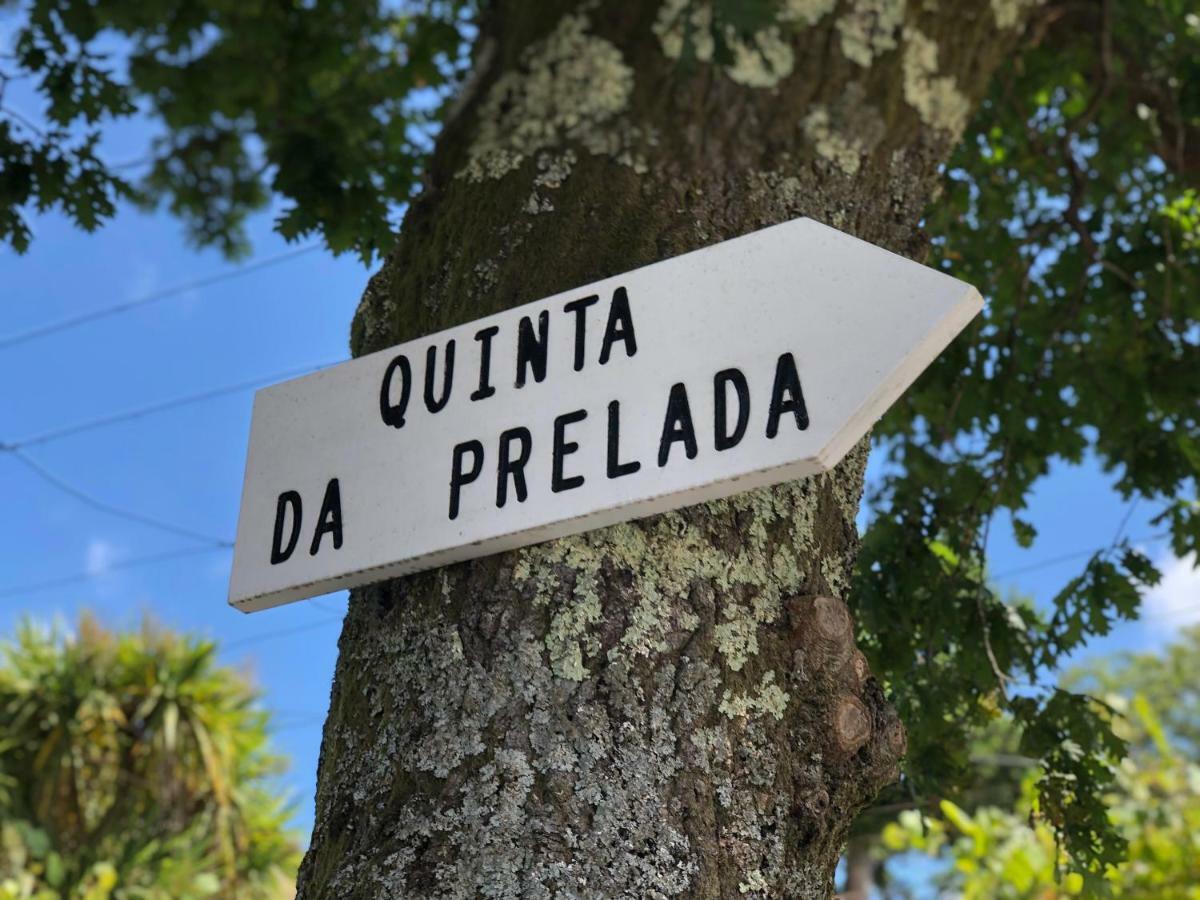 Casa Da Quinta Da Prelada Simao Partie Basse Villa Celorico De Basto Exterior photo